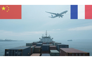 Tür-zu-Tür-Versand von China nach Frankreich