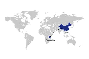 Versand von China nach Tansania