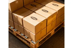 Wie lange dauert express versand aus China